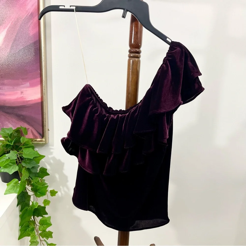 Misa Ruffle One-shoulder Velvet TopIn Plum Velvet Size S‎